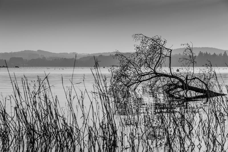 2018_02_24_Lac des Settons (0071).jpg - Lac des Settons (Février 2018)